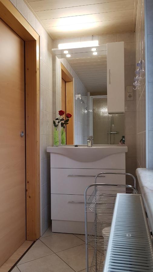 Ferienwohnung Berndt Oberweißbach Buitenkant foto